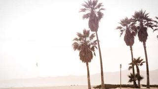 红桃免费视频官网-纪录片片段